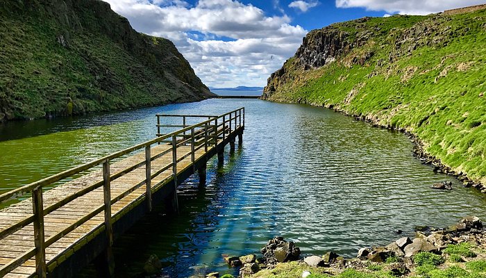 🌊 Two Islands, Two Wild Swims – Bass Rock & the Isle of May